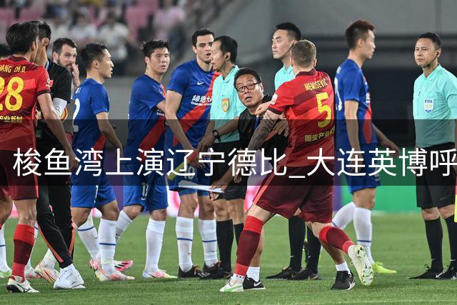 梭鱼湾上演辽宁德比 大连英博呼吁绿色竞技文明观赛